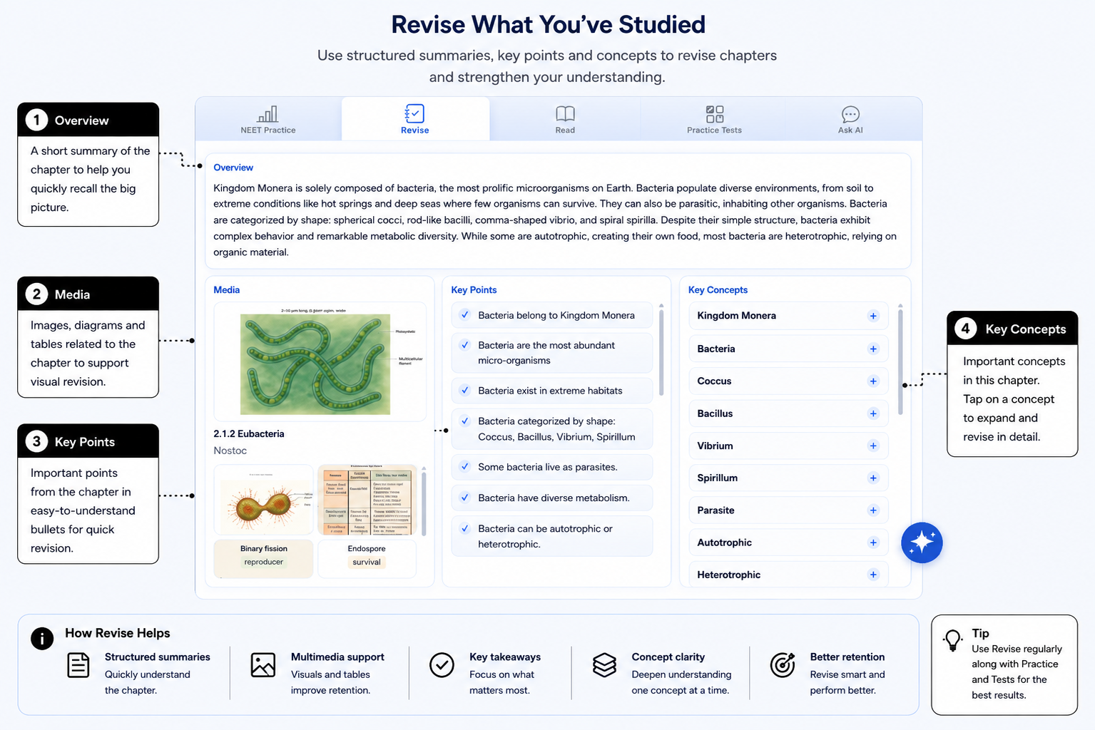 Annotated AI Study Room Revise view showing the section overview, learning media, Key Points, expandable Key Concepts and how Revise supports review.