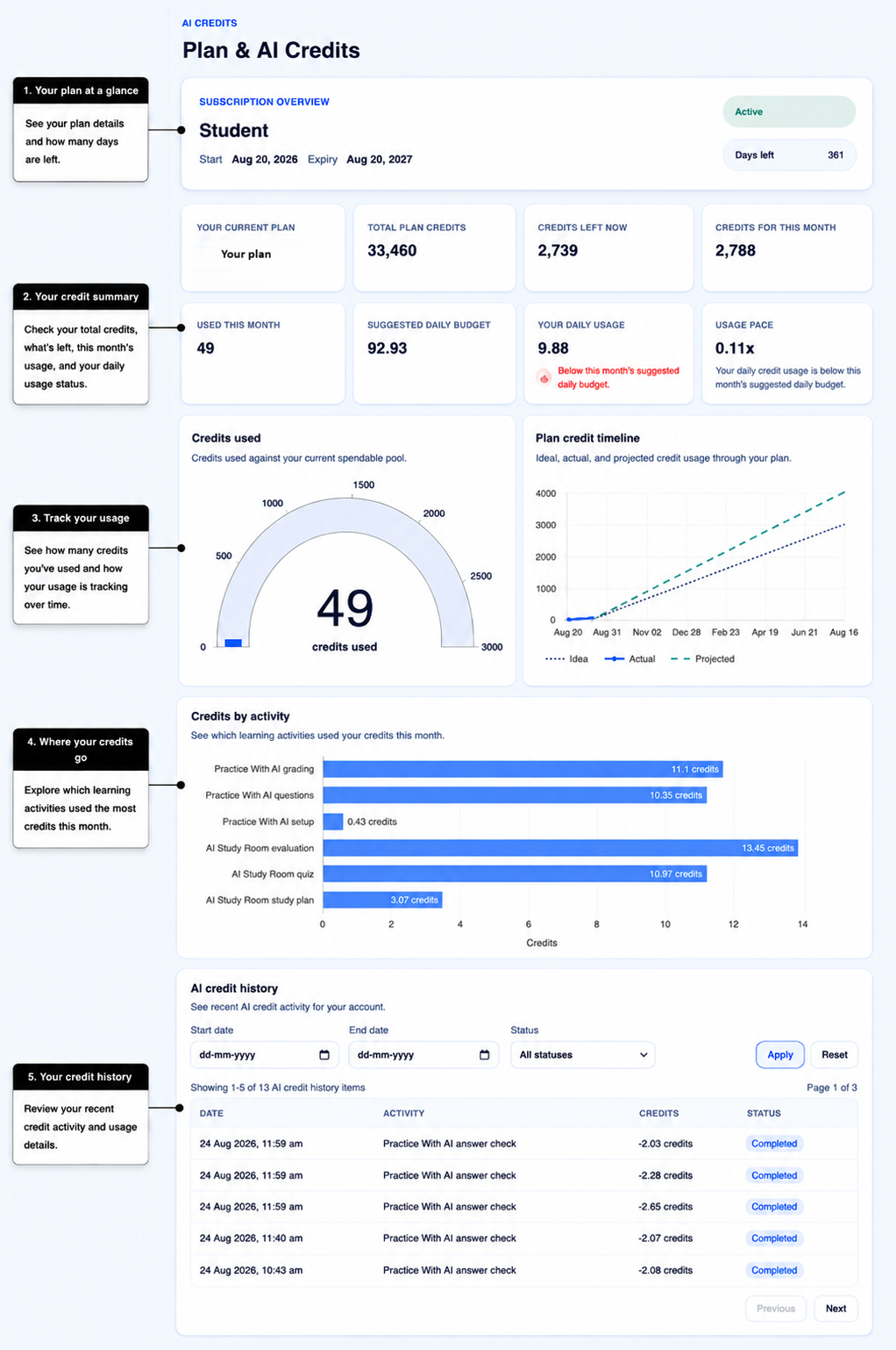 Annotated Plan & AI Credits overview with example values showing plan details, AI Credit summary, usage tracking, credits by activity, and AI credit history.